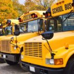 Yellow school buses